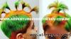 Organização Animação Recreação Infantil SBC